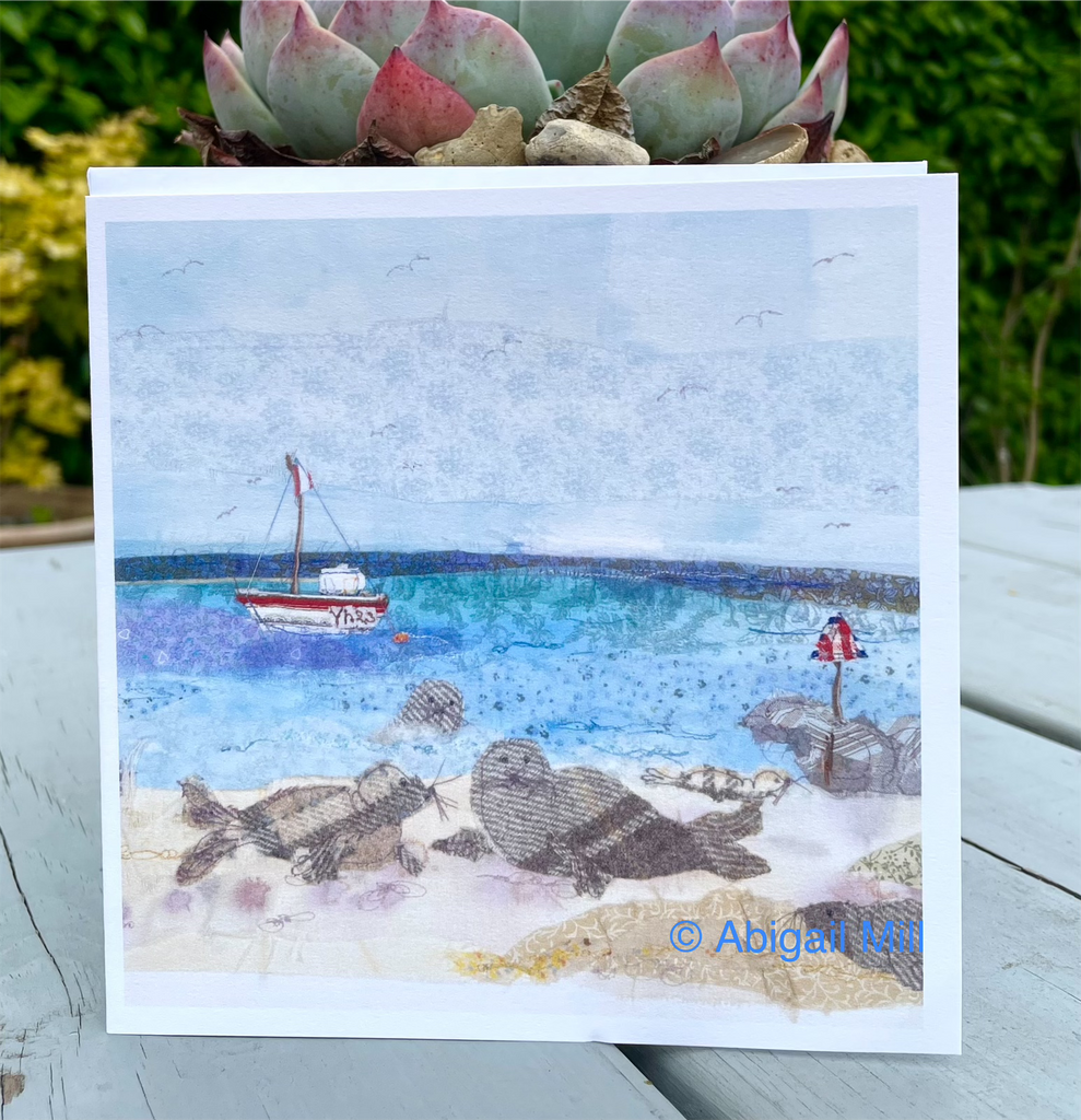 Seals at Winterton Greetings card