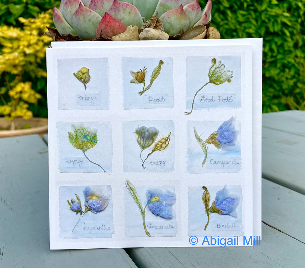 Campanula Study Greetings card
