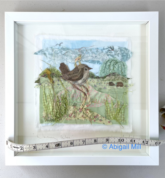 Waveney Wren- Framed