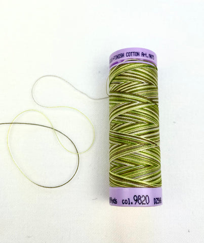 Small Meadow Variegated Mettler Thread 9820- 100m