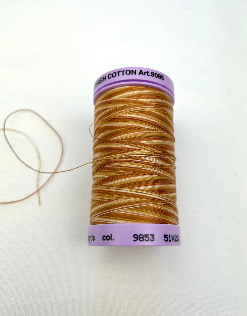 Large Harvest Variegated Mettler Thread 9853 - 457m