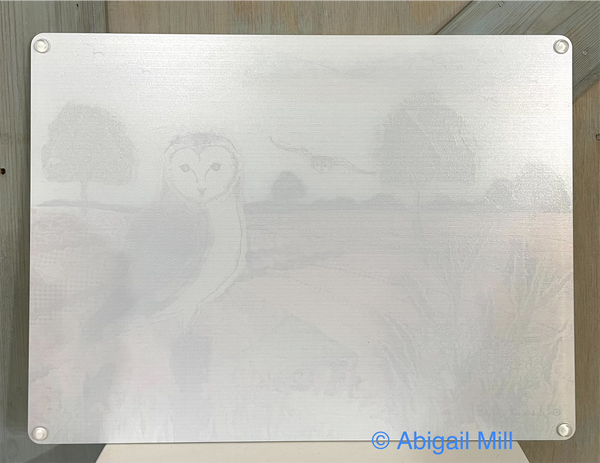 Barn Owl Glass Worktop Surface Protector