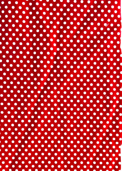 Campervan Kit- Red Polka dot