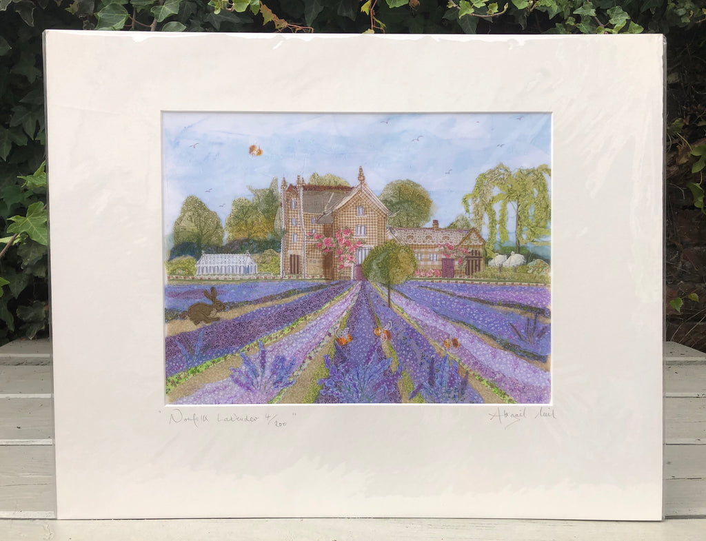 Norfolk Lavender Giclee Print